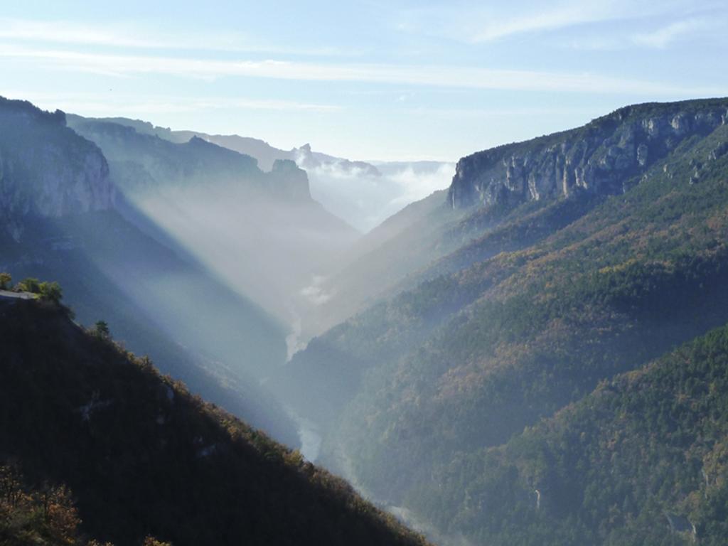 Gite La Cerise Qui Rit La Cresse Exterior foto