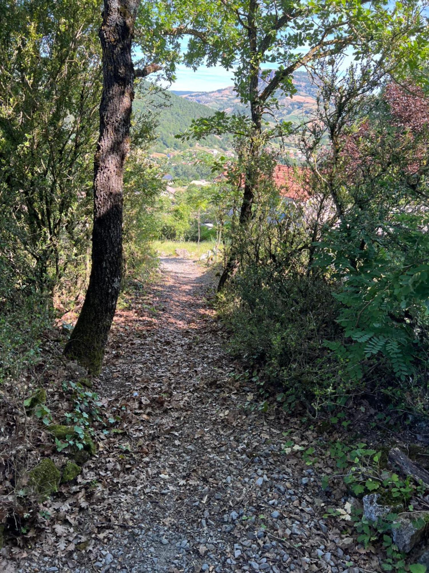 Gite La Cerise Qui Rit La Cresse Exterior foto